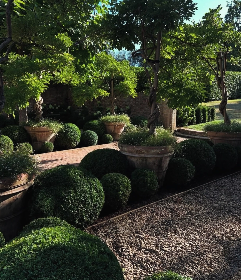 Sử dụng cây xanh trong thiết kế cảnh quan nhiệt đới