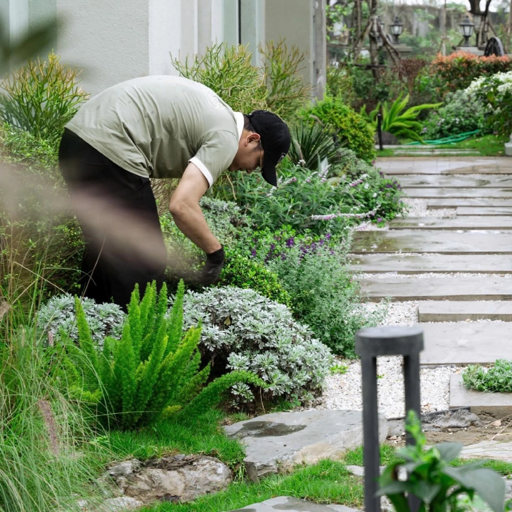 Báo giá thiết kế sân vườn trọn gói cạnh tranh nhất