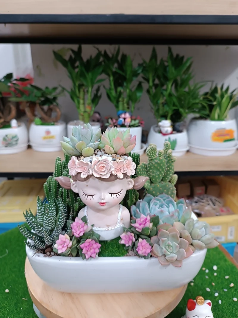 Trang trí phòng xinh xắn với tiểu cảnh sen đá trang trí