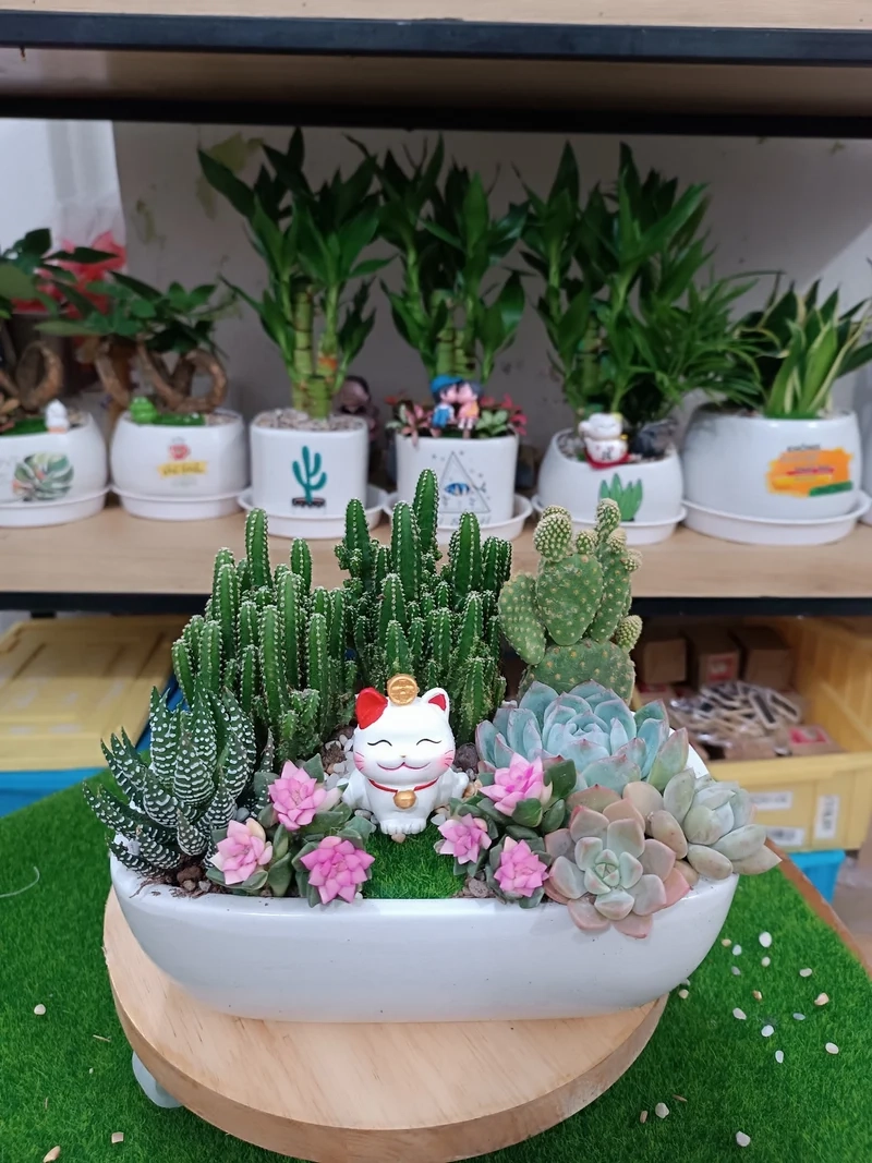 Nghệ thuật xanh thú vị từ tiểu cảnh sen đá nghệ thuật