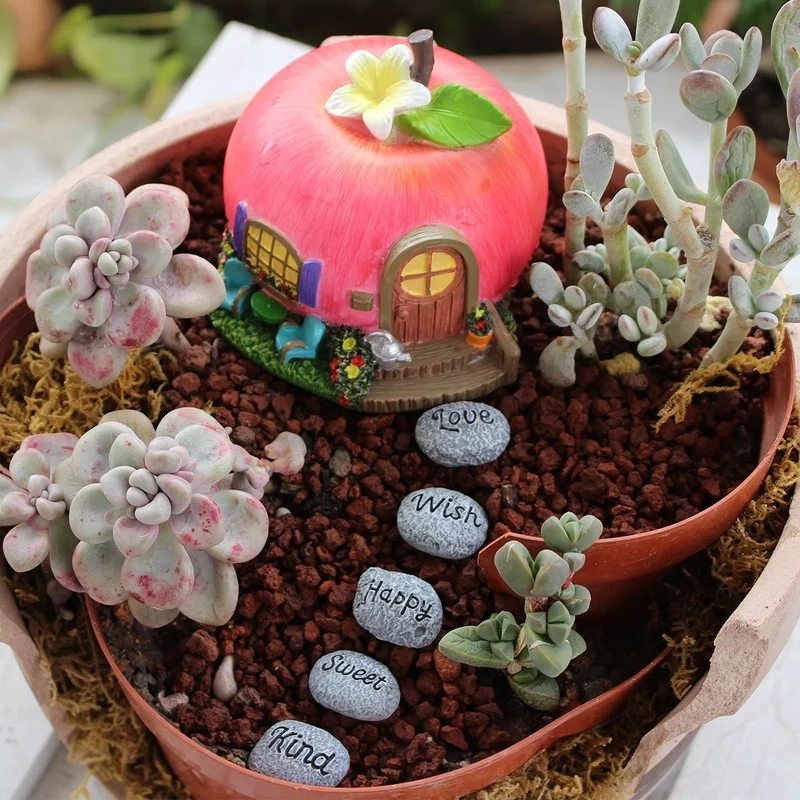 Sáng tạo không giới hạn với tiểu cảnh sen đá sáng tạo