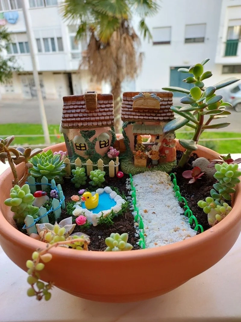 Lưu lại bộ sưu tập với tiểu cảnh sen đá pinterest