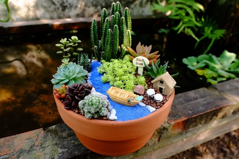 Ngắm chi tiết sống động với tiểu cảnh sen đá 4k