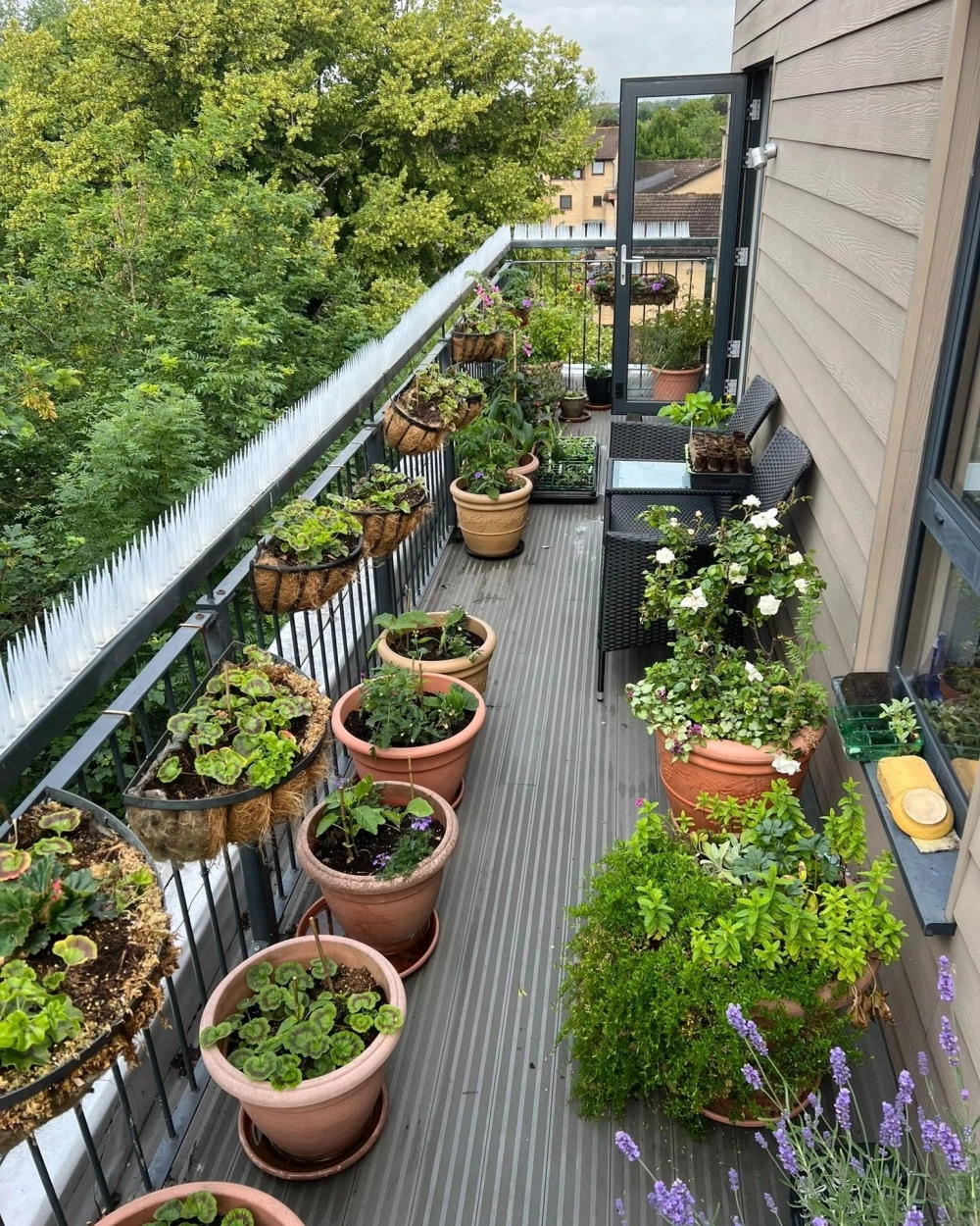 Ý tưởng trang trí ban công chung cư trồng cây tạo không gian xanh