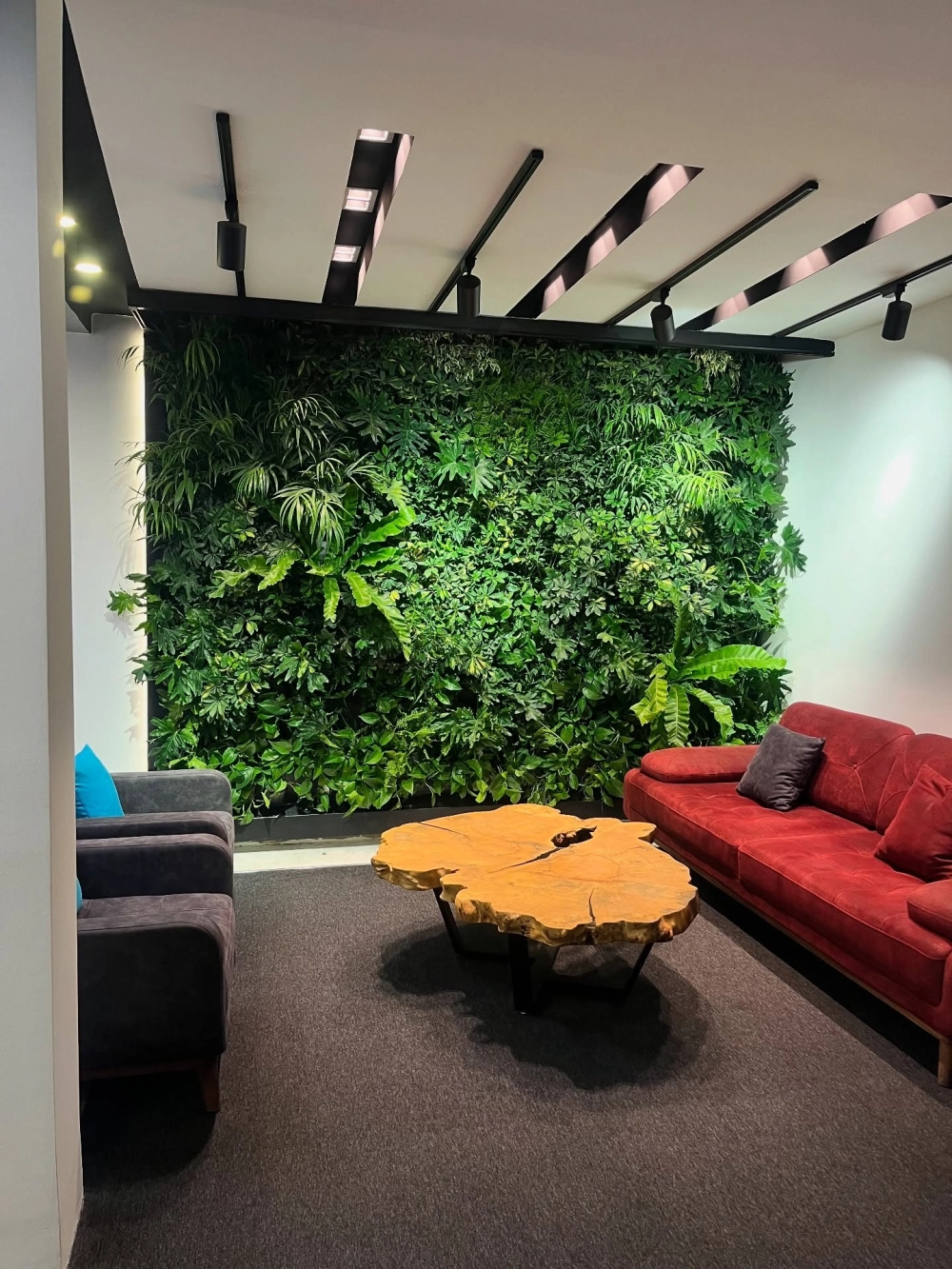 Mẫu thiết kế tường cây xanh trong nhà kết hợp hệ thống tưới tự động