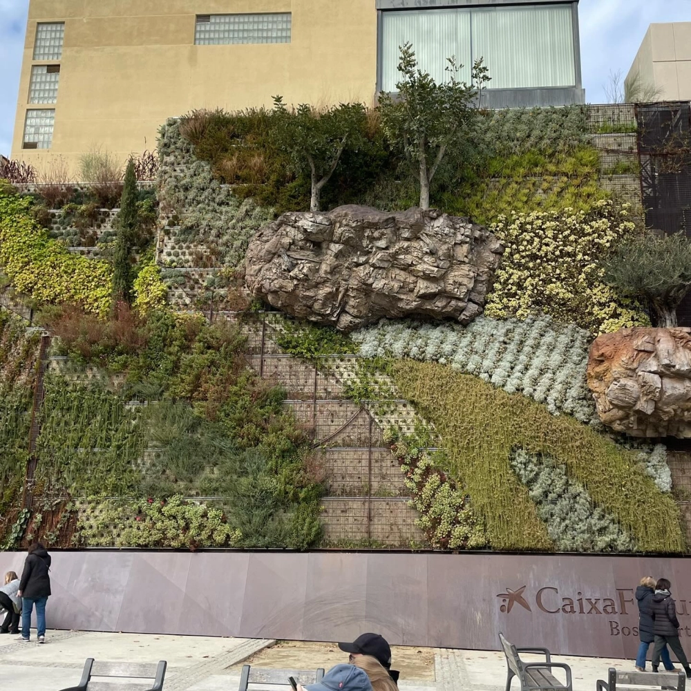 Không gian tường cây xanh quán cafe thu hút khách hàng