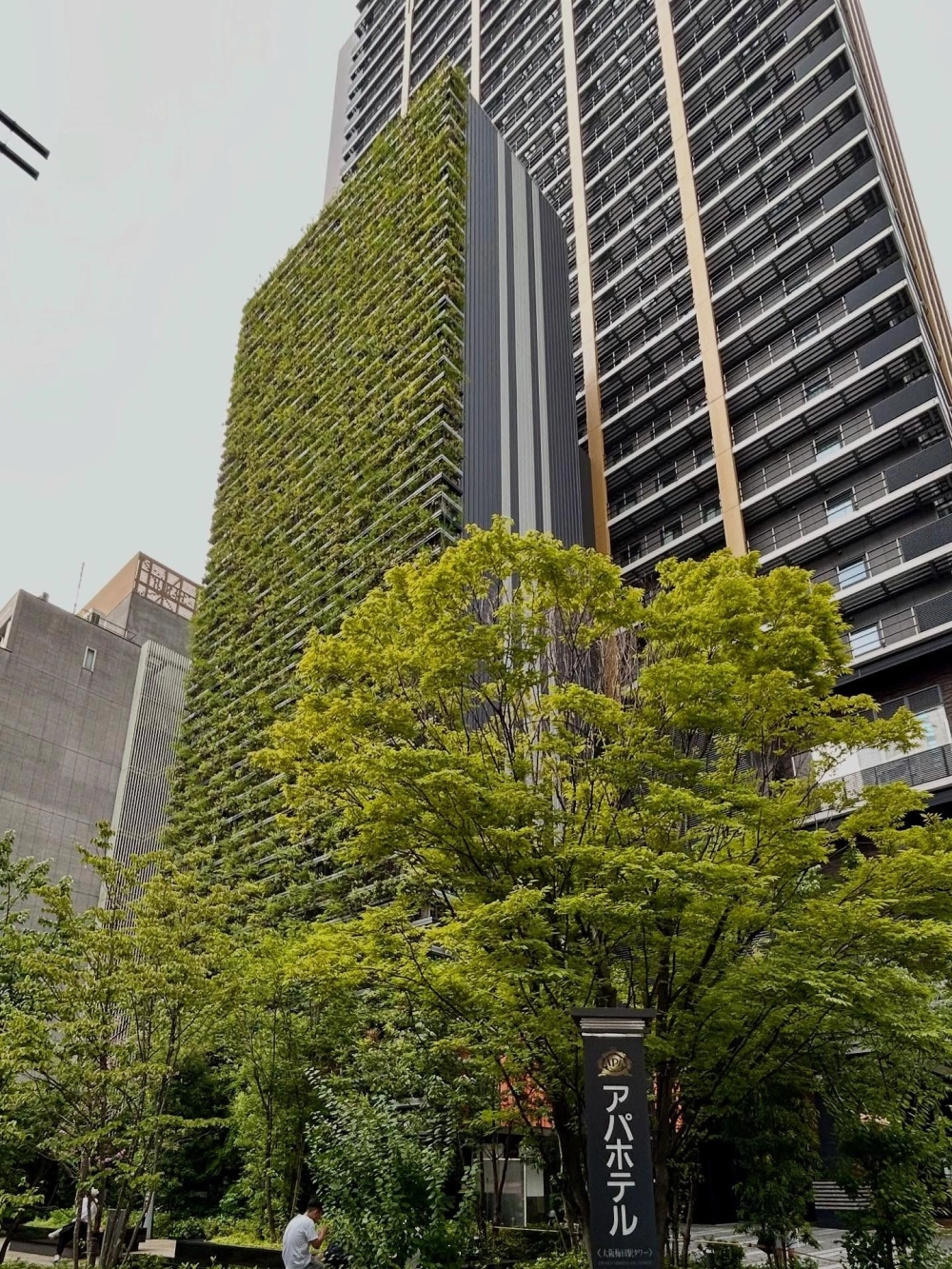 Tường cây xanh trong nhà tạo điểm nhấn xanh mát