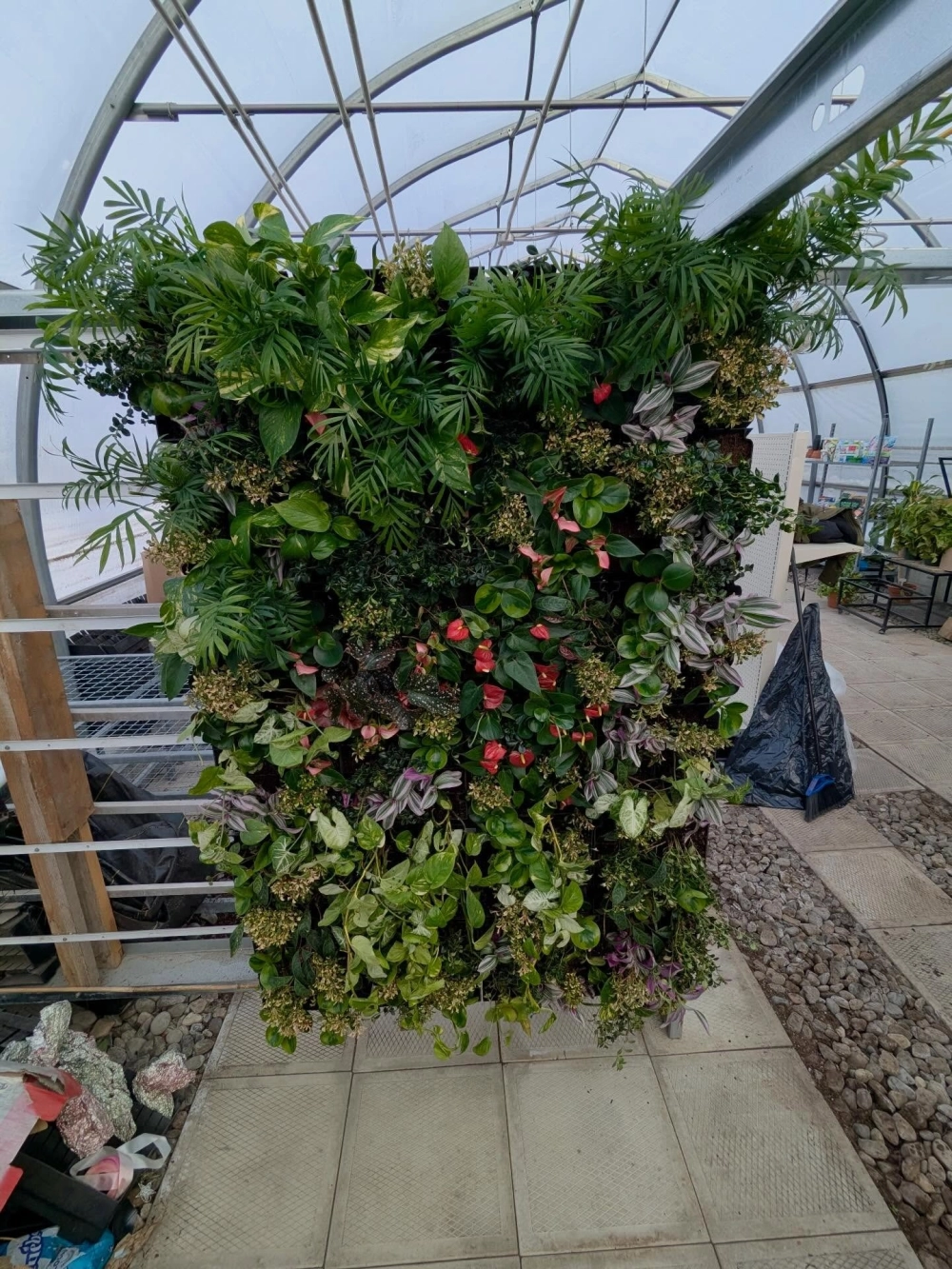 Tường cây xanh giếng trời đón ánh sáng tự nhiên