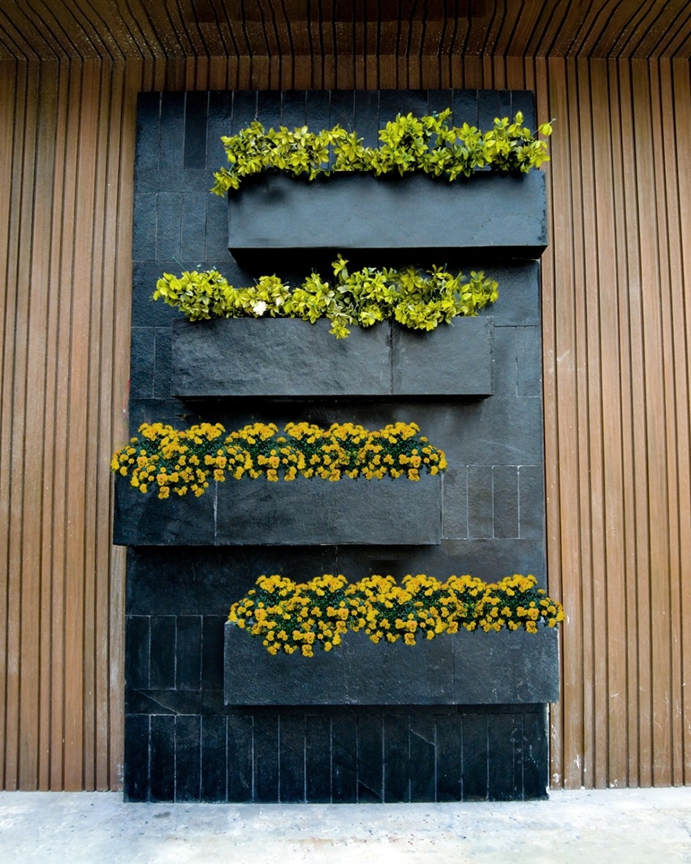 Thiết kế vườn đứng ngăn phòng tạo không gian riêng tư xanh