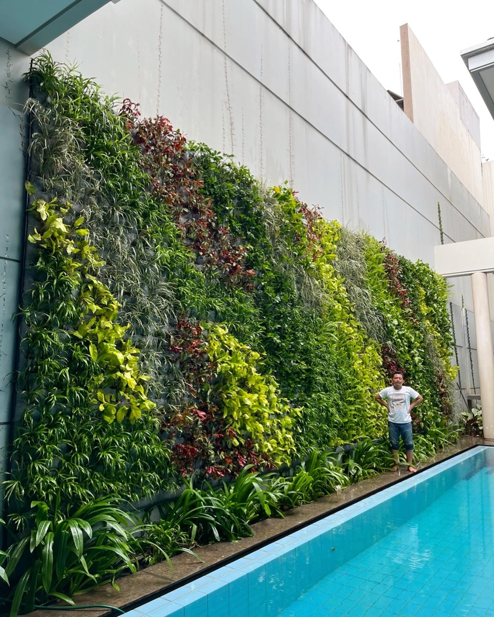 Ý tưởng vườn đứng trong nhà đẹp tạo điểm nhấn sang trọng