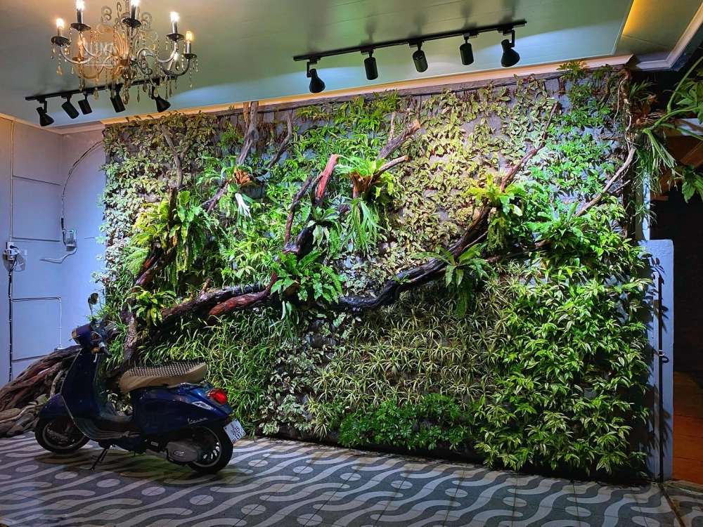 Thi công vườn đứng giá rẻ với khung sắt chắc chắn