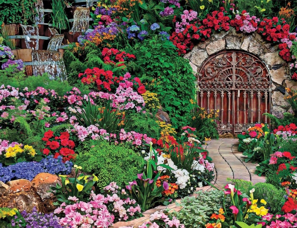 Vườn hoa đẹp rực rỡ mang cảm giác bình yên
