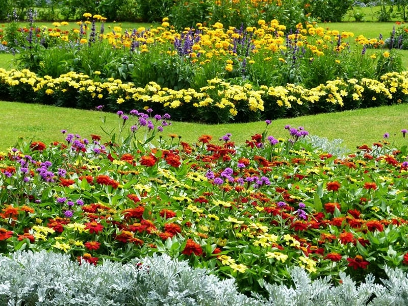 Hình nền vườn hoa tạo không gian thư giãn