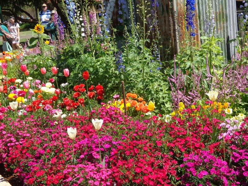 Mẫu vườn hoa đẹp gợi ý trang trí lý tưởng