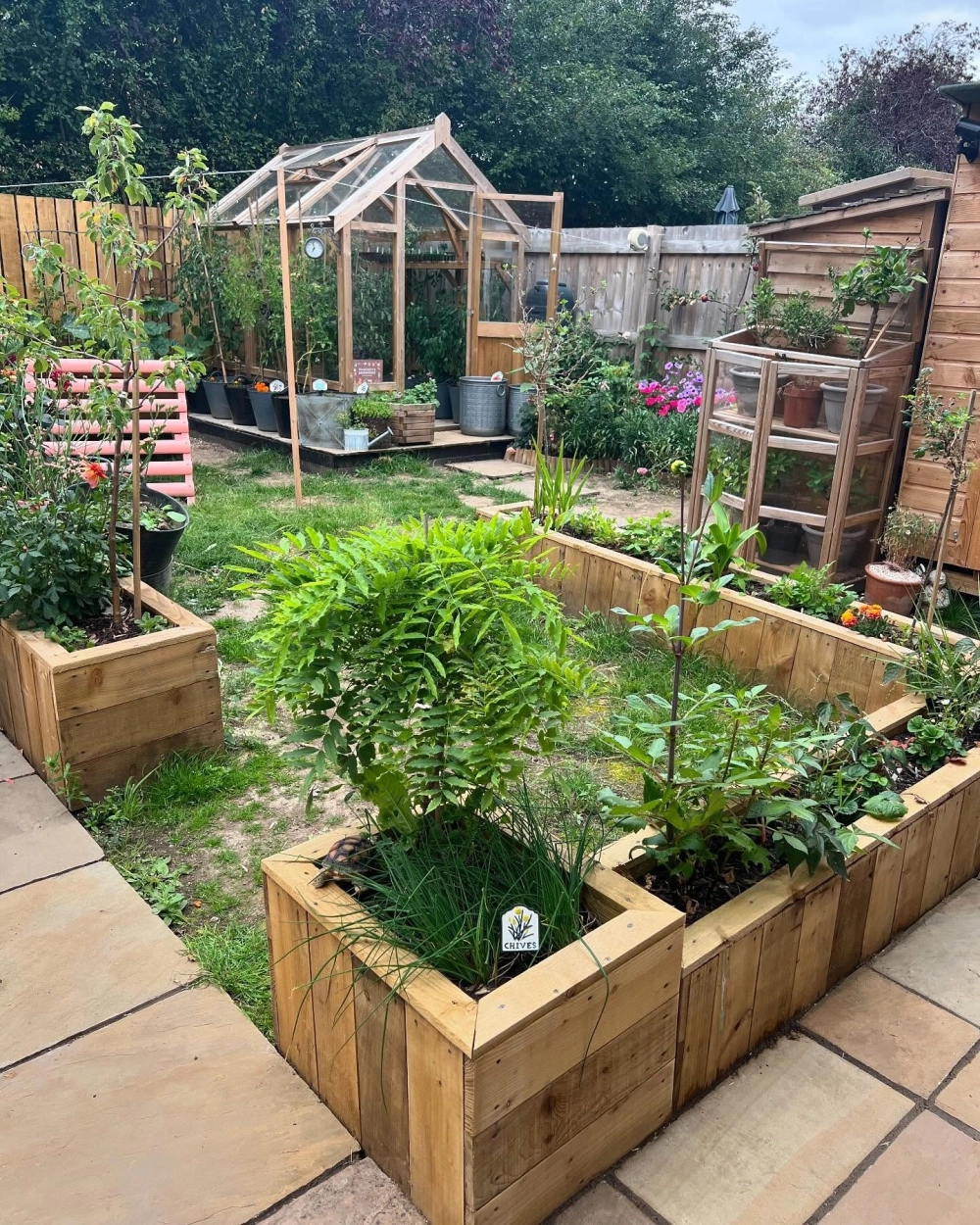 Vườn rau sạch thủy canh cho năng suất cao trong diện tích nhỏ