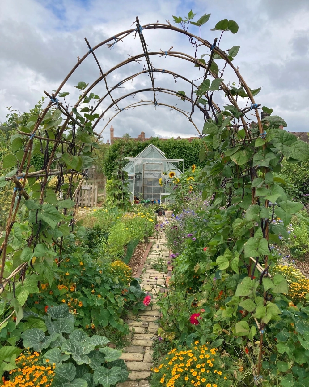 Vườn rau sạch aquaponics kết hợp nuôi cá và trồng rau xanh