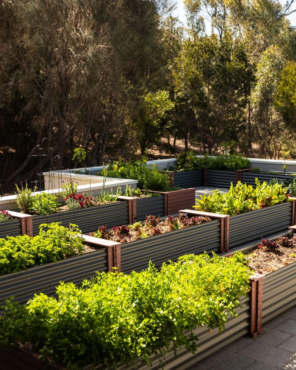 Nhà lưới trồng rau sạch tại nhà giúp ngăn ngừa sâu bệnh hại