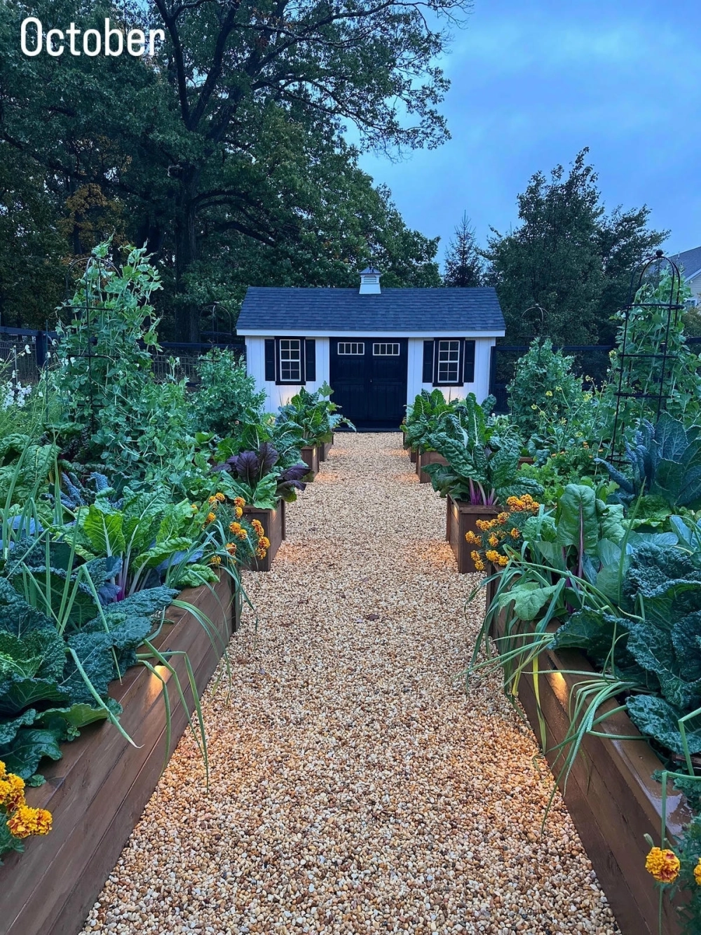 Hệ thống tưới vườn rau sạch tự động giúp tiết kiệm công sức