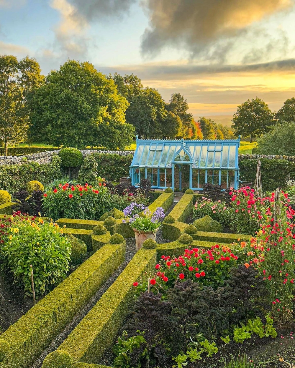 Vườn rau sạch trong thùng xốp đơn giản cho người mới bắt đầu