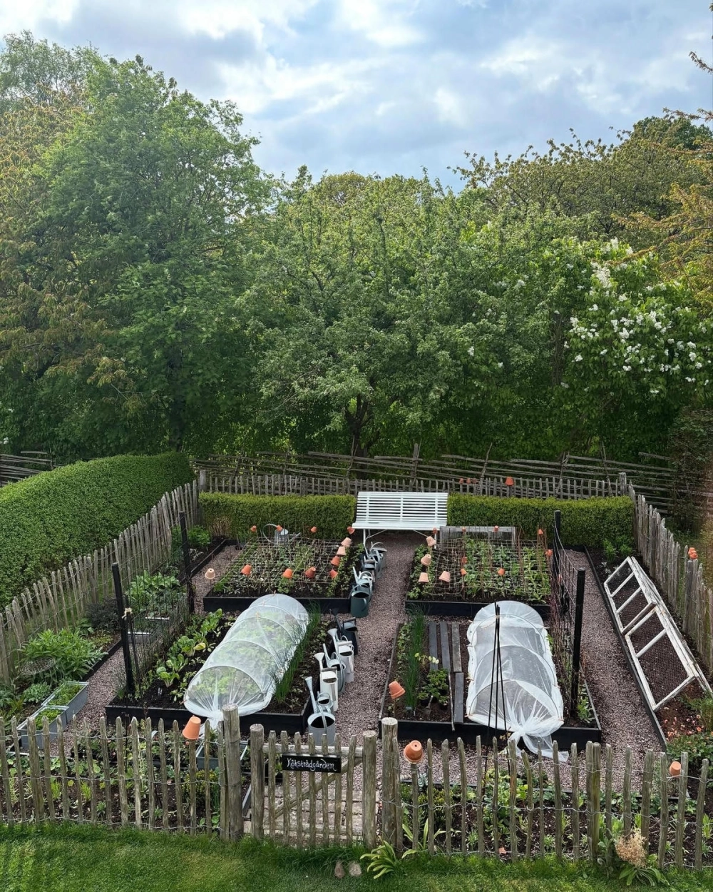 Vườn rau sạch ngoài ban công chung cư nhỏ gọn và tiện lợi