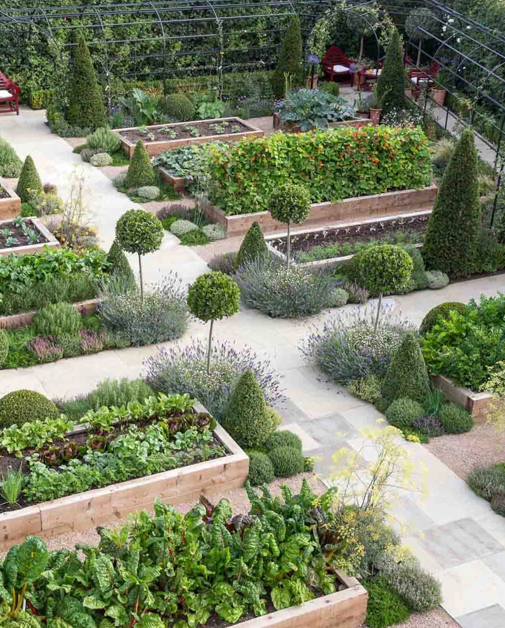 Mô hình trồng rau sạch tại nhà sử dụng kệ sắt nhiều tầng