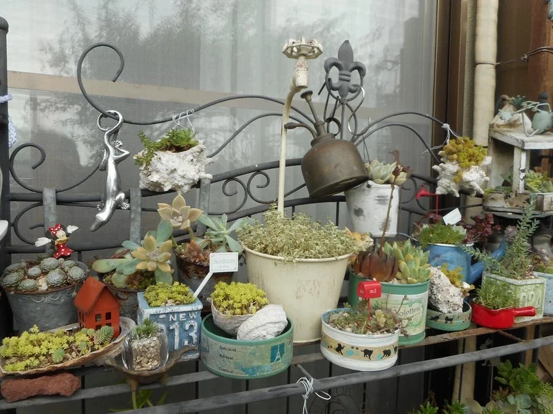 Trang trí hiện đại với vườn sen đá decor xinh xắn