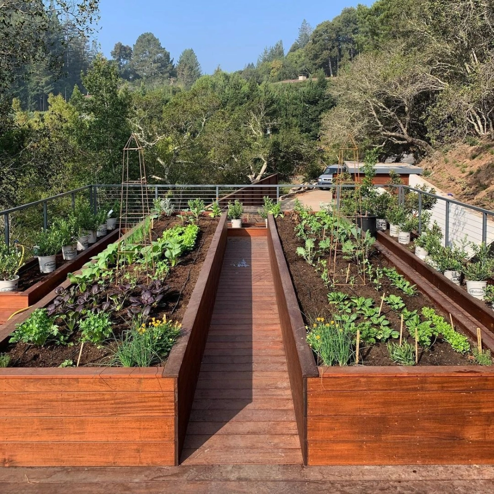 Thi công tấm thoát nước vườn trên mái chống ngập úng