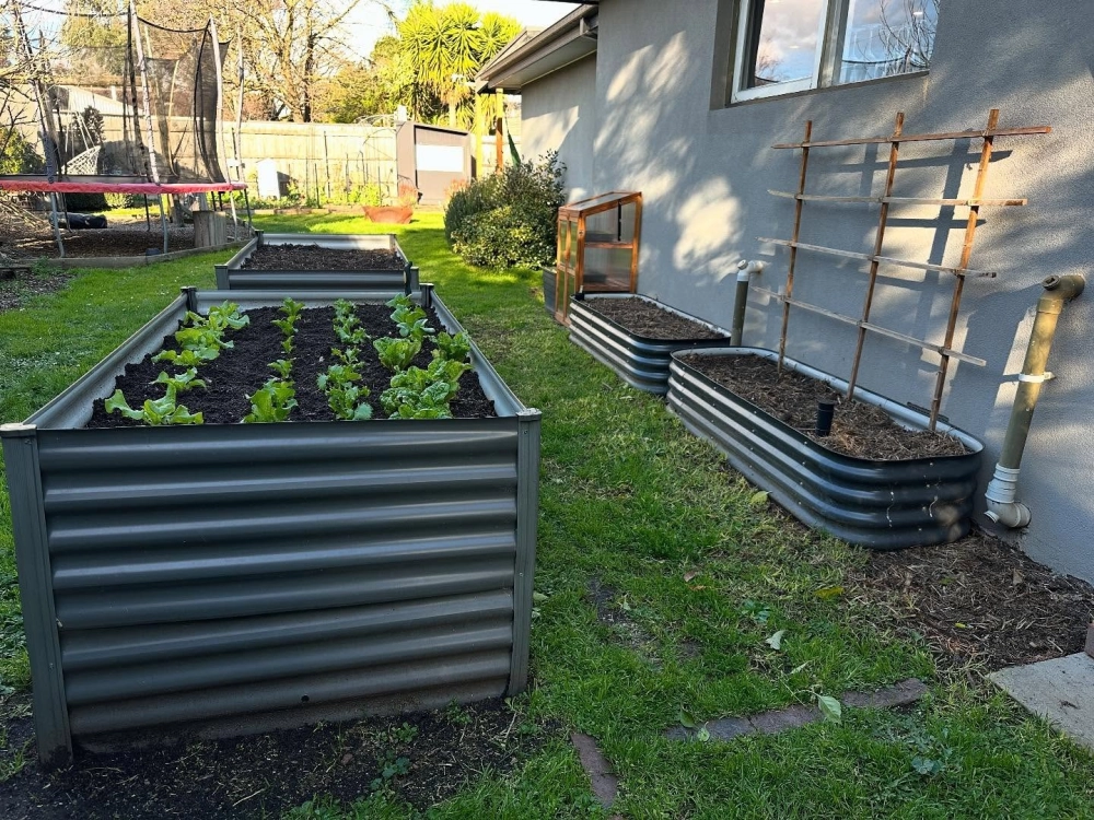 Ước tính chi phí làm vườn trên mái cho hộ gia đình