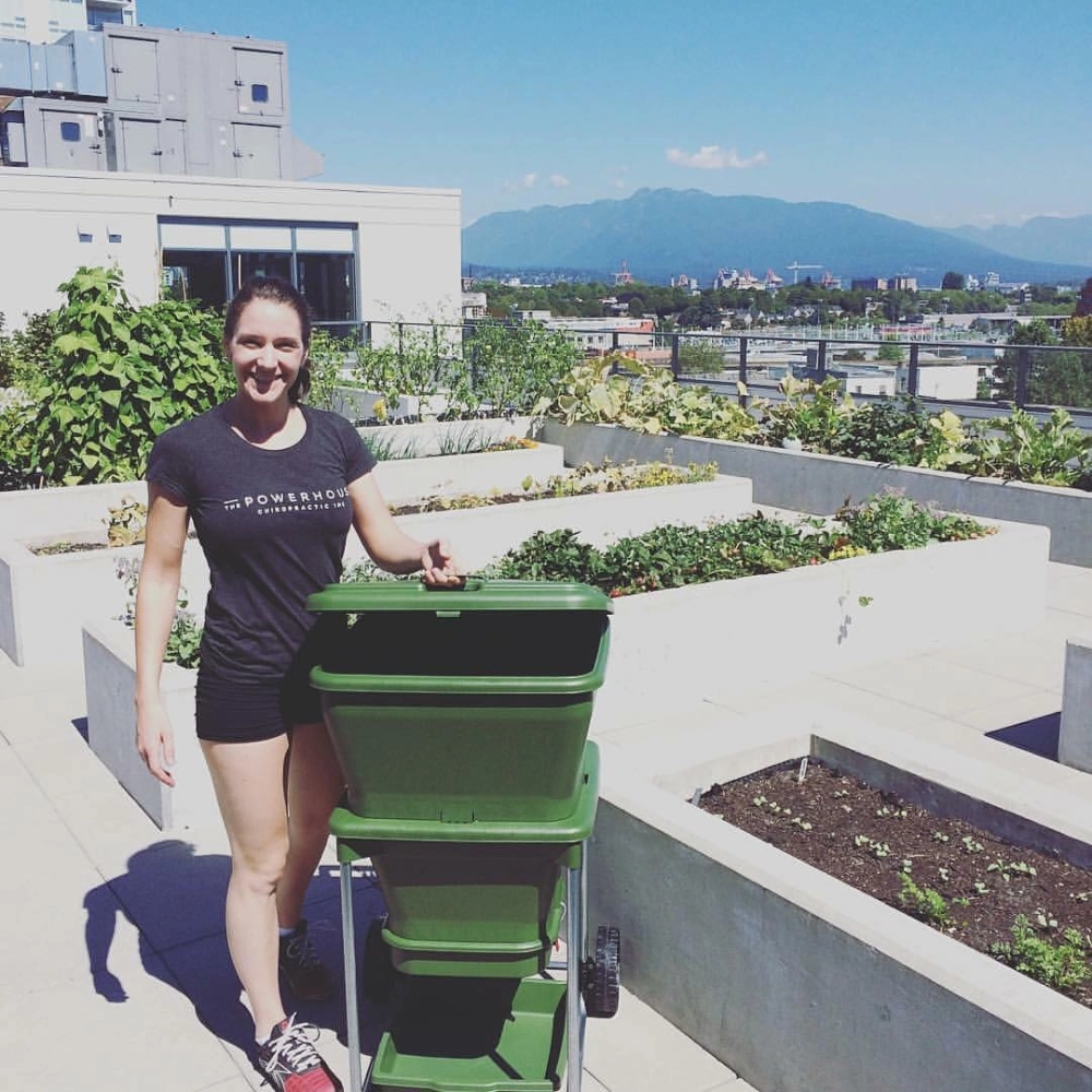 Lắp đặt hệ thống tưới vườn trên mái tự động thông minh