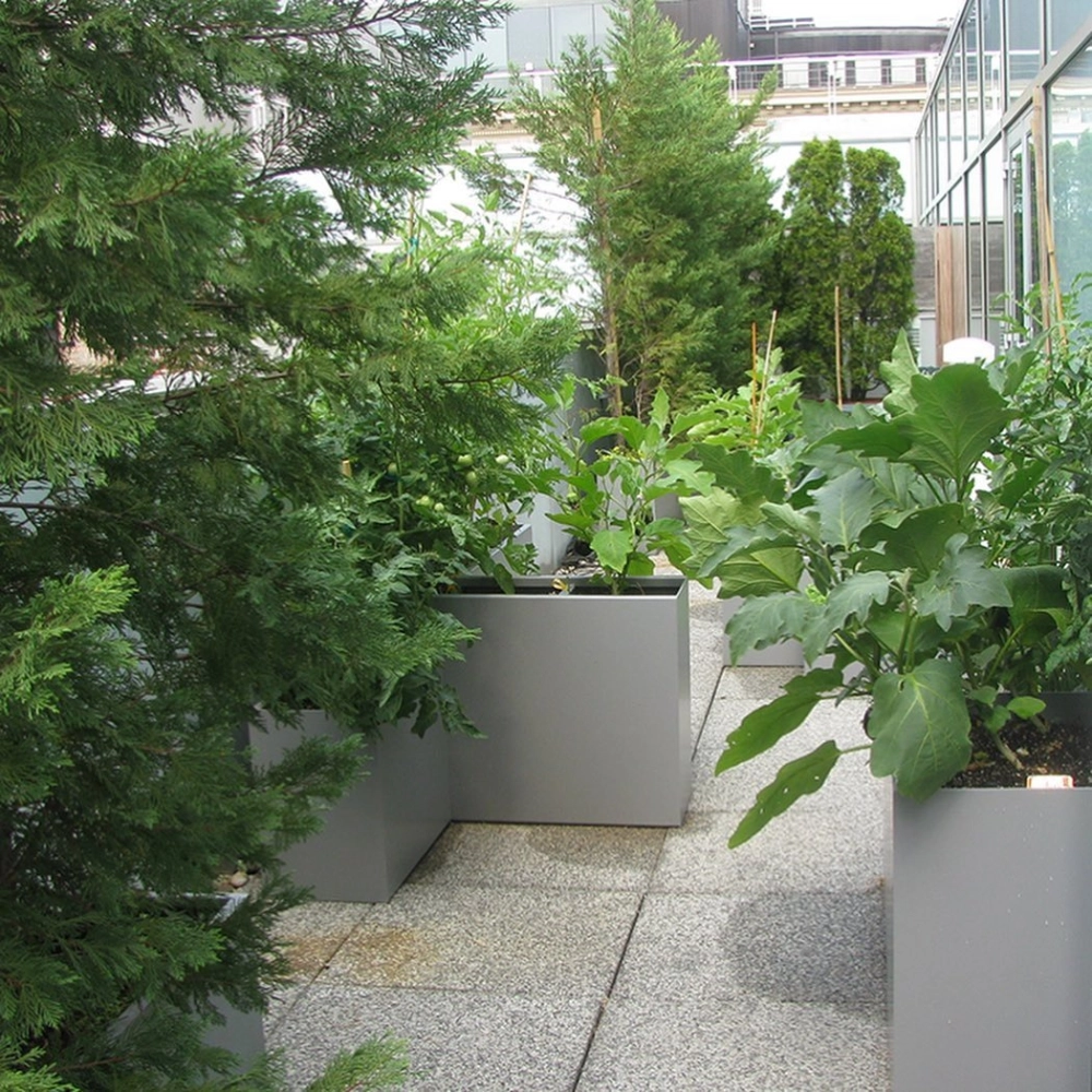 Giải pháp vườn trên mái chống nóng cho sân thượng nhà phố