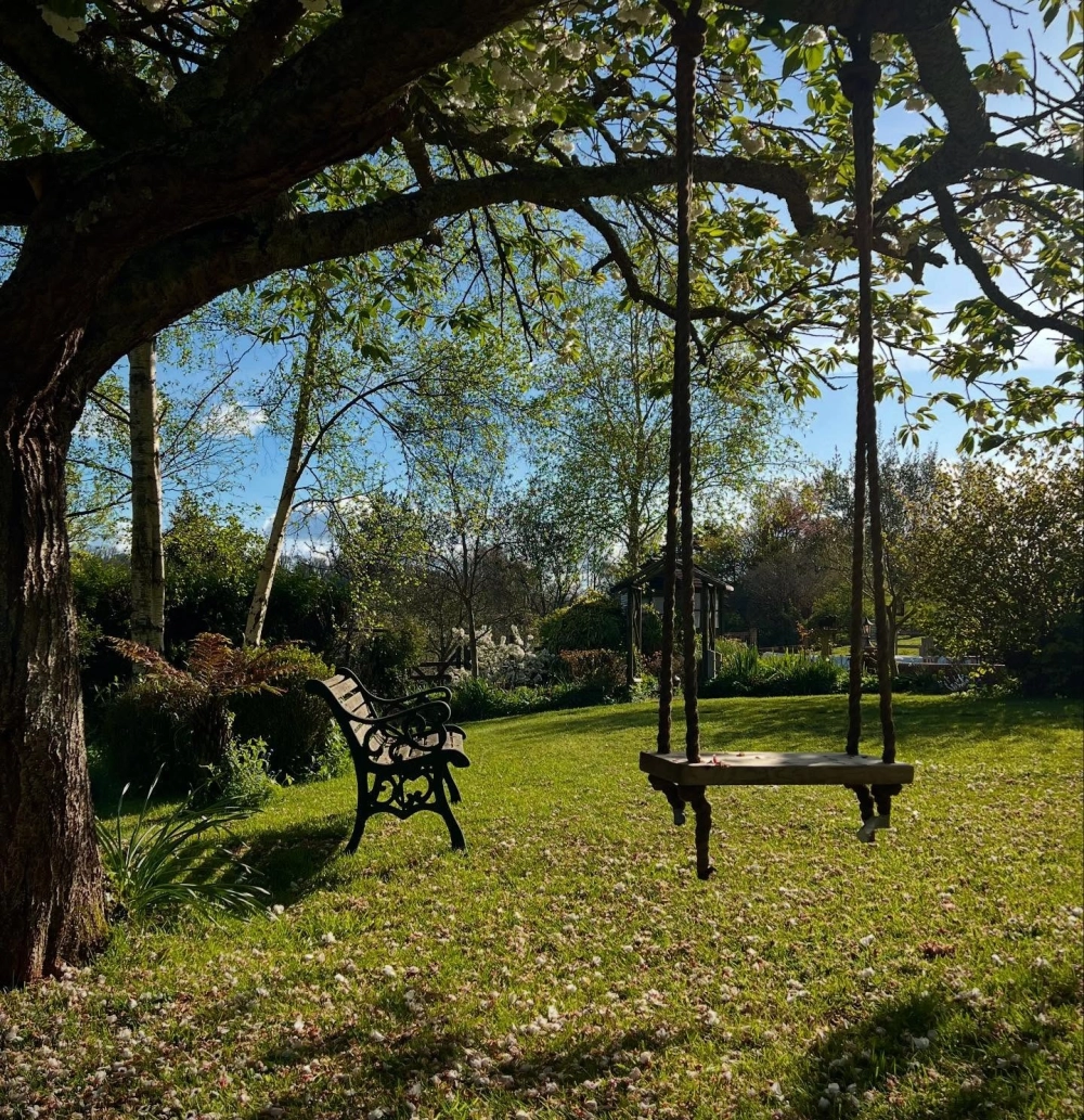 Xích đu sân vườn bằng gỗ có giàn hoa leo quanh