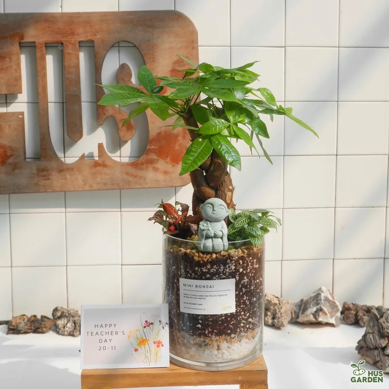 Trang trí tinh tế cùng bonsai trong nhà trang trí