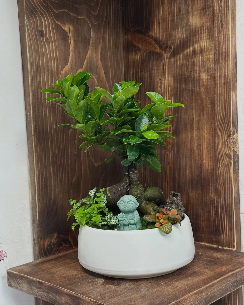 Thiết kế tinh tế cùng bonsai trong nhà thiết kế đẹp