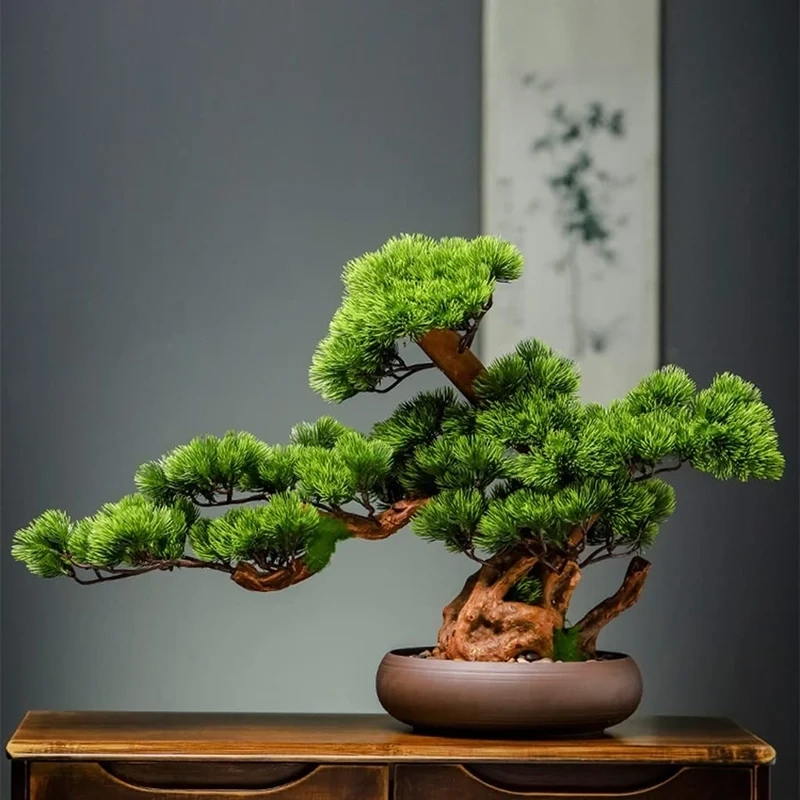 Chi tiết sắc nét nhờ bonsai trong nhà ảnh full hd