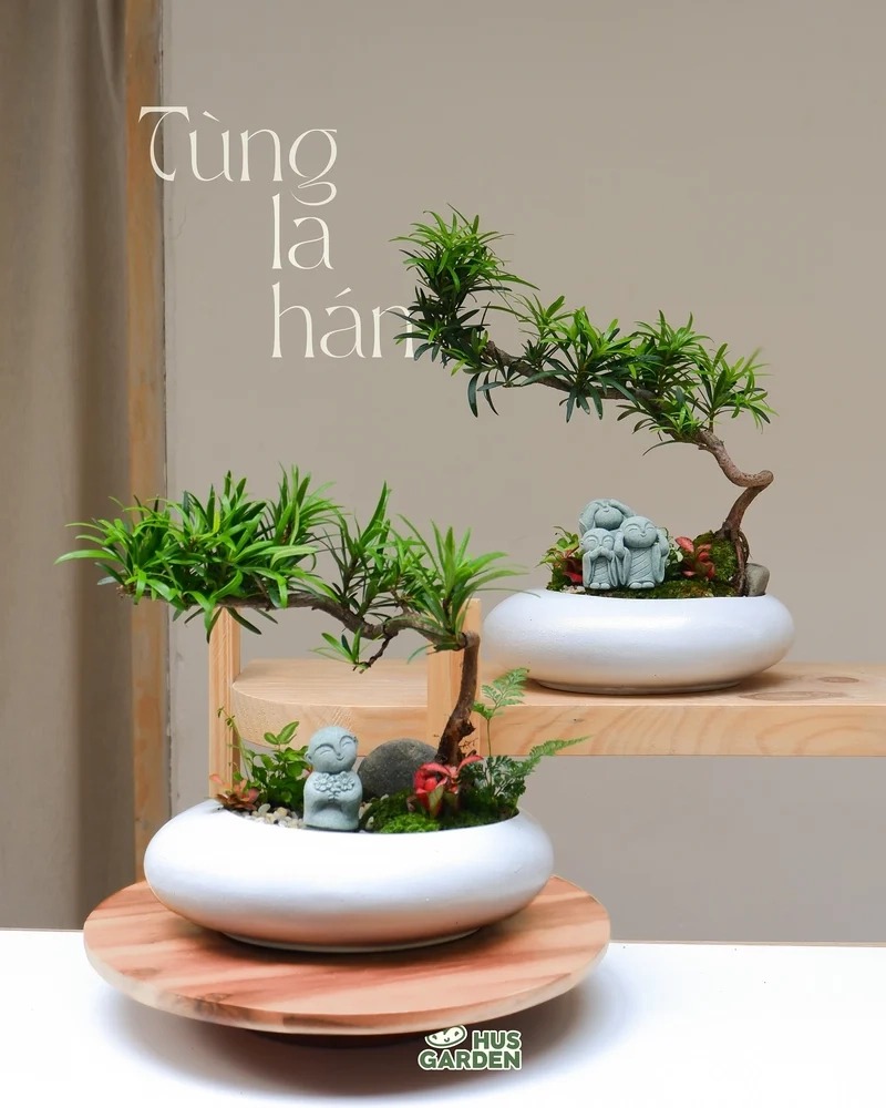 Ảnh nghệ thuật cuốn hút với bonsai trong nhà ảnh nghệ thuật