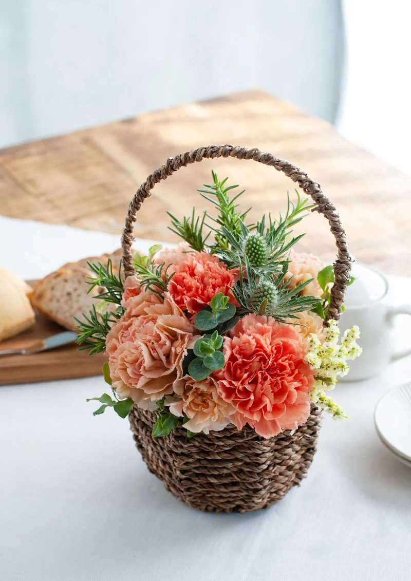 Góc gần gũi và chi tiết hoa cẩm chướng ảnh cận cảnh