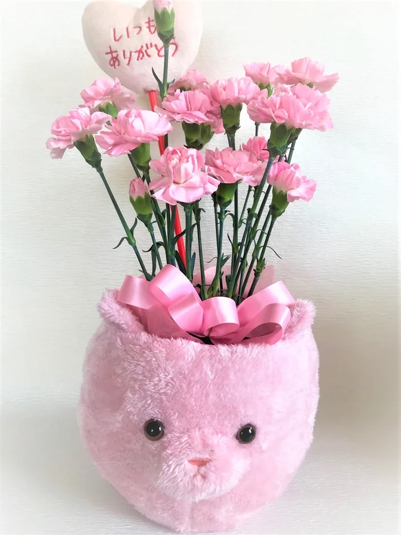 Nền tự nhiên hoàn hảo hoa cẩm chướng nền tự nhiên