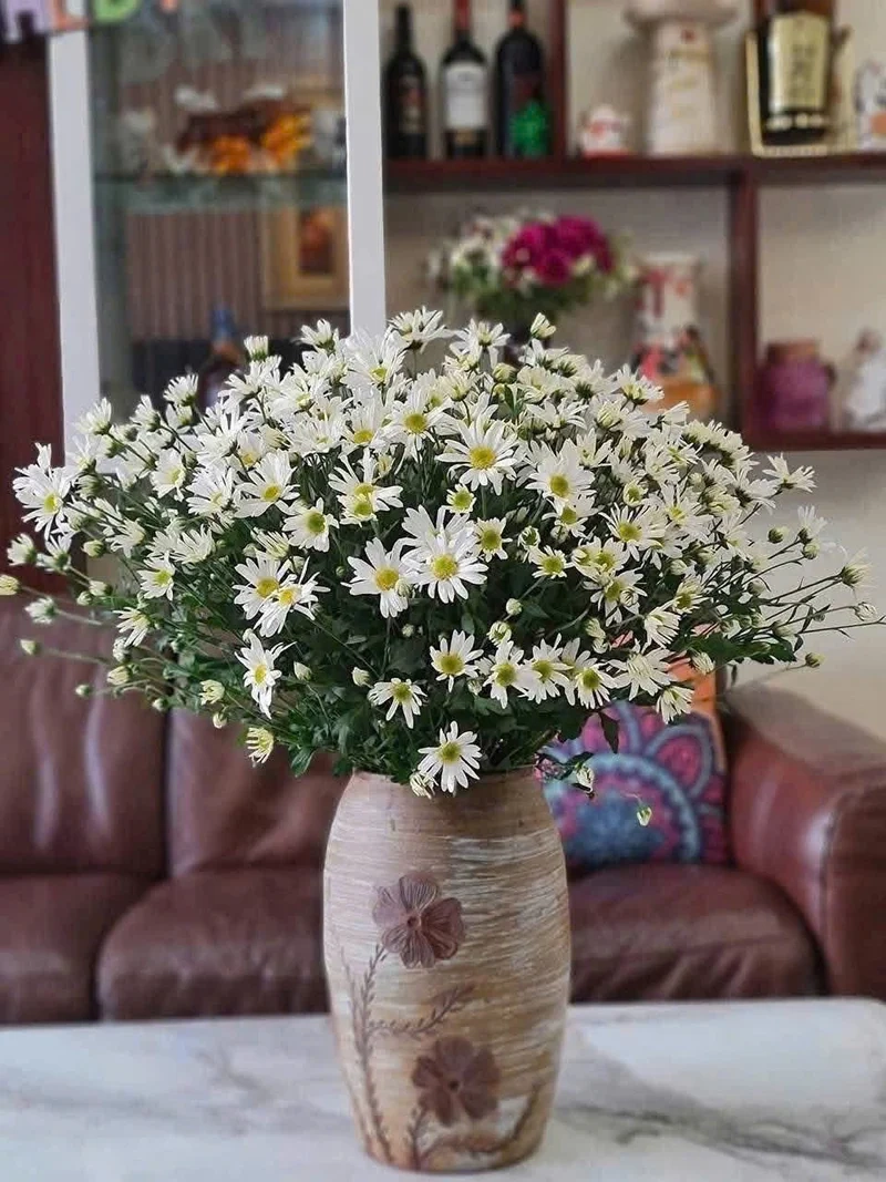 Không gian thơ mộng nhờ hoa cúc họa mi phong cách thơ mộng