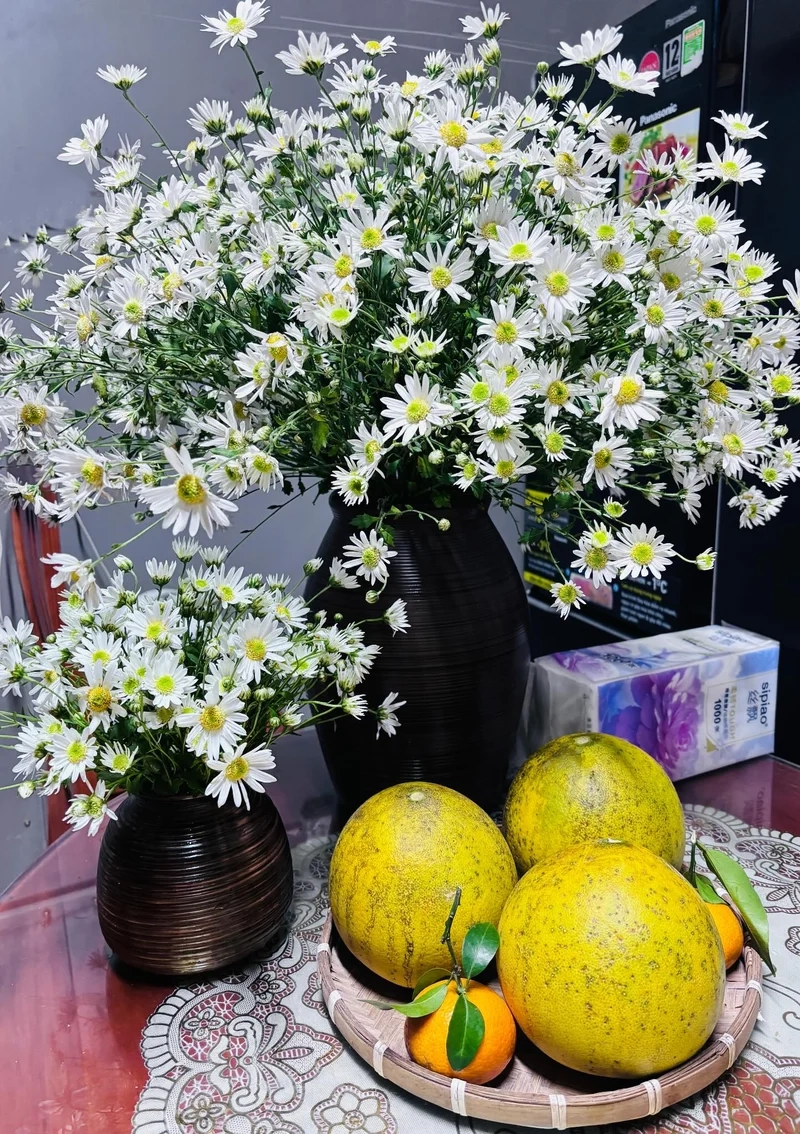 Mùa đông thêm sinh động với hoa cúc họa mi mùa đông