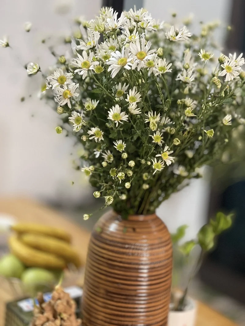 Hình ảnh chân thực nhờ hoa cúc họa mi ảnh thực tế