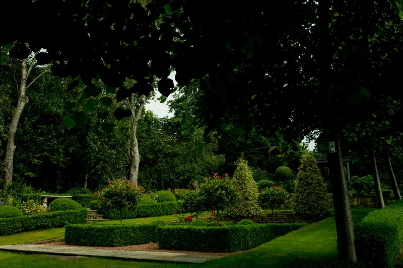 Khoảnh khắc tinh tế cùng thiết kế sân vườn cổ điển chụp ảnh