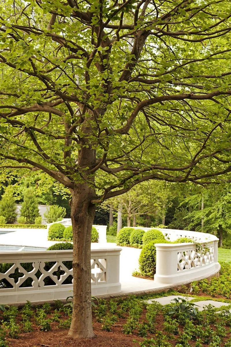 Toàn cảnh tuyệt đẹp thiết kế sân vườn cổ điển ảnh tổng thể