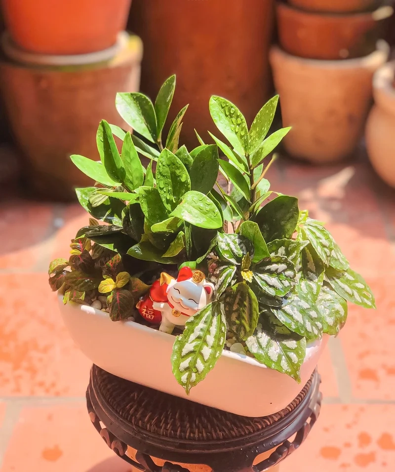 Trang trí nội thất với tiểu cảnh cây phong thủy trong nhà