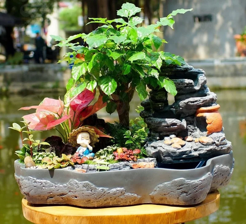 Không gian nhỏ thêm xanh với tiểu cảnh cây phong thủy mini