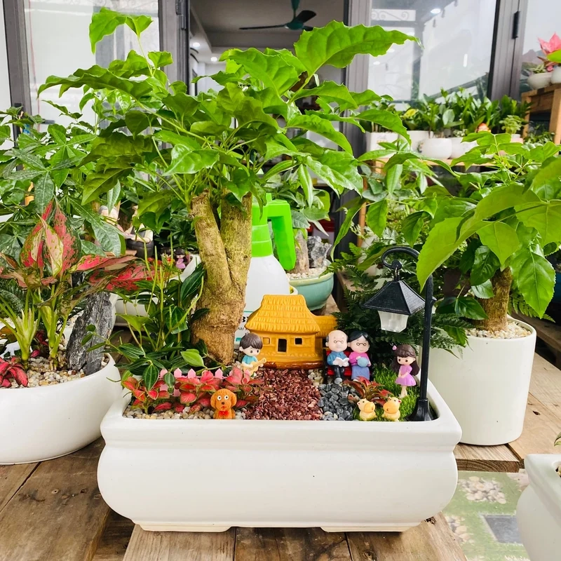 Thiết kế tinh tế với tiểu cảnh cây phong thủy thiết kế đẹp