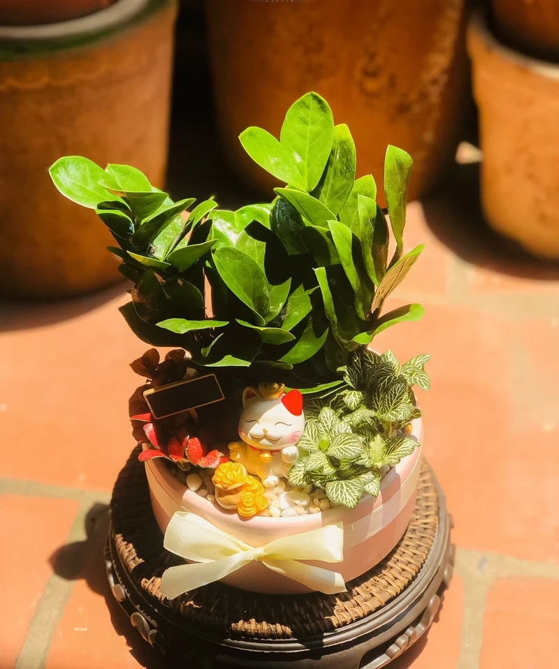 Nghệ thuật thiên nhiên qua tiểu cảnh cây phong thủy nghệ thuật