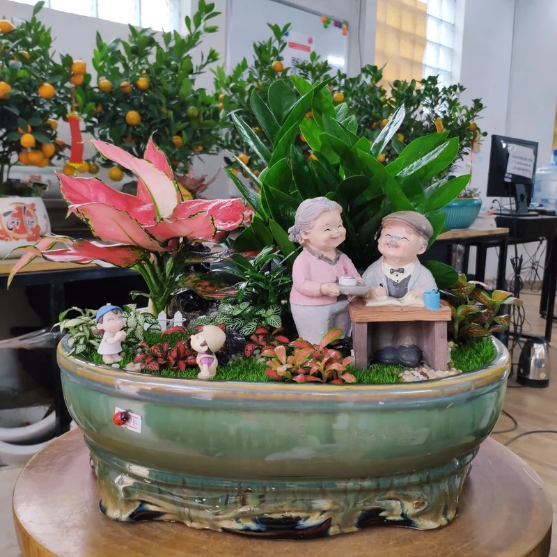 Chi tiết sắc nét nhờ tiểu cảnh cây phong thủy ảnh full hd