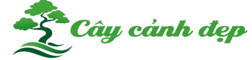 Logo vuonxinh.edu.vn